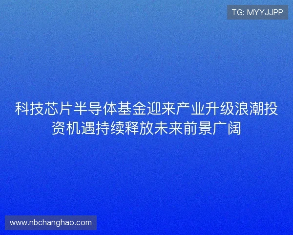 科技芯片半导体基金迎来产业升级浪潮投资机遇持续释放未来前景广阔