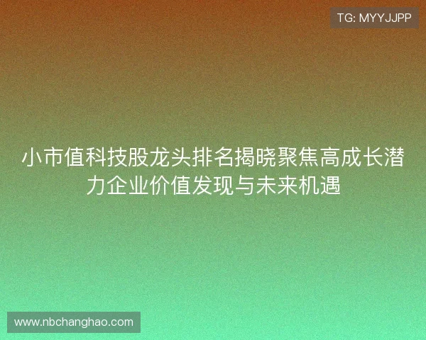 小市值科技股龙头排名揭晓聚焦高成长潜力企业价值发现与未来机遇 小市值科技股龙头排名揭晓聚焦高成长潜力企业价值发现与未来机遇